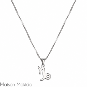 Chaîne Capricorne ♑️ - Couleur argent